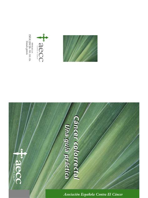 02. Cáncer colorrectal Una guía práctica Autor Eguino Villegas, Ana