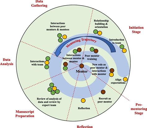 Peer Mentorship And Professional Identity Formation An Ecological