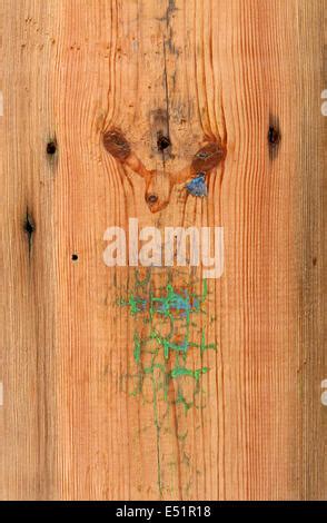 The Old Wood Texture With Natural Patterns Stock Photo Alamy