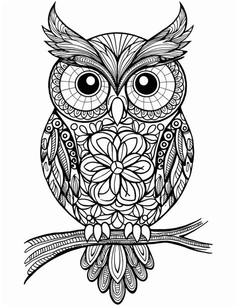 33 Aesthetic Owl Coloring Pages For Relaxation Free PDF Printables