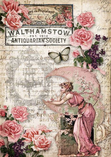 Spring Release Antiquarian Society Decoupage Queen A Rice