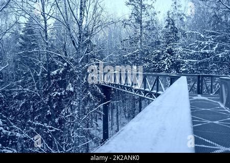 Bridge Over Frozen Stream Snowy River In Forest In The Winter Long