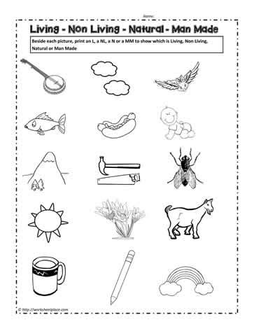 Living And Nonliving Things Worksheets