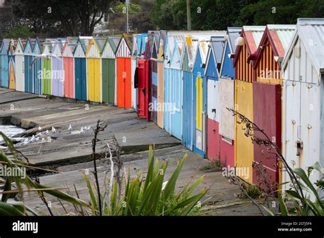 Wellington North Island New Zealand Stock Photo Alamy