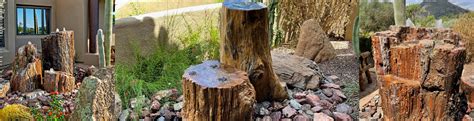 Arizona Petrified Wood Fountains For Patios Rare Earth Gallery