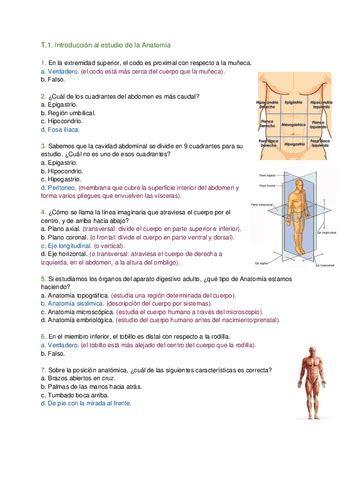 Tema Tecnicas De Imagen Docx