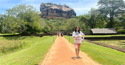 Sigiriya Dambulla Minneriya Safari With Pickup Drop Day Trip In