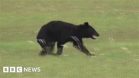 Juneeberri Onlyfans Leak