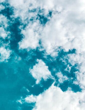 Barbara Joan Morrison Obituary | 1936 - 2025 | The Joplin Globe