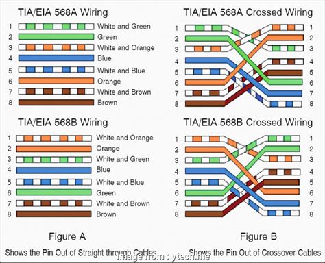 Cat Wiring Diagram A And B