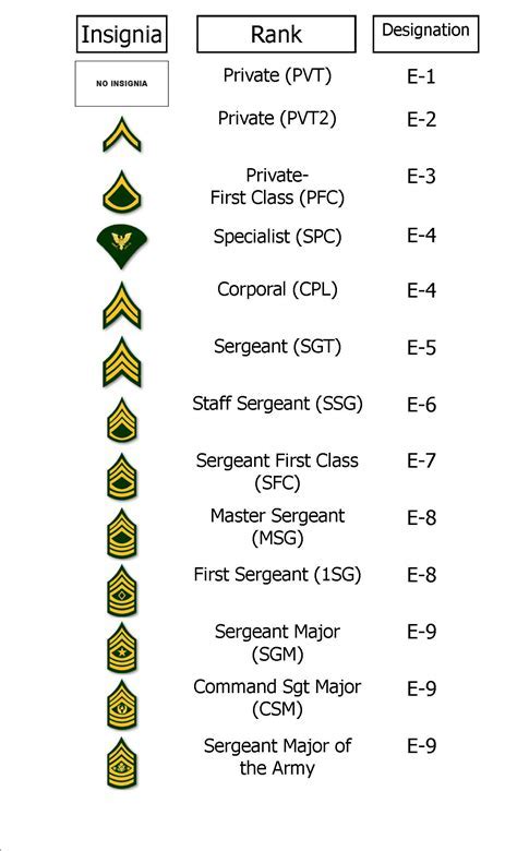 Military Ranks In Order Army Amaral Northwestern