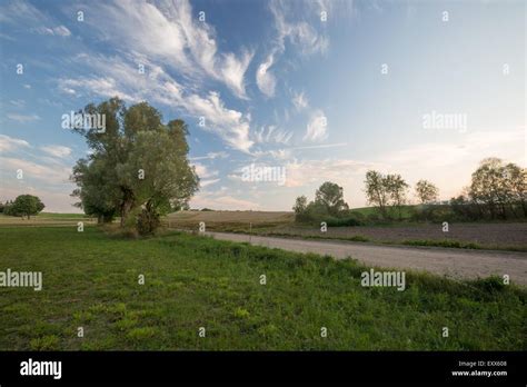 Rural Landscape Of Polish Countryside Field Or Meadow Under Blue Sky