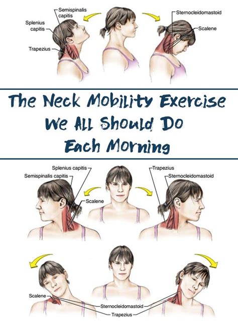 Pro Neck Exercise Tips Digital Trends