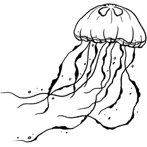 Jellyfish Serenade Semi Permanent Tattoo Lasts Weeks Painless And