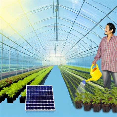 Leveraging Solar Energy In Modern Greenhouse Farming For Savvy Us