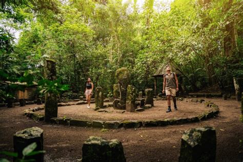 Un Viaje Inolvidable A Los Tuxtlas Biodiversidad Cultura Y Sabores