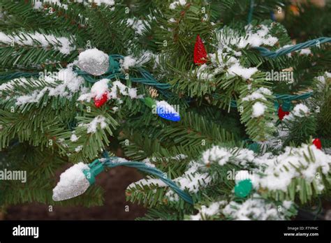 Christmas Tree With Lights Stock Photo Alamy