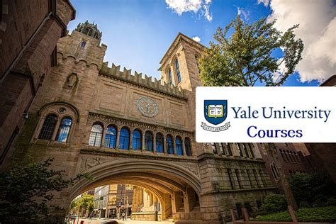 12 Yale Courses To Boost Career Campus SDH