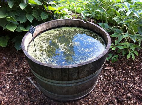 Introducing A Half Oak Whiskey Barrel Pond Into Your Garden