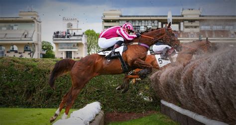 Prono Du Lundi Tuyaux Pour Le Quint Du Jour