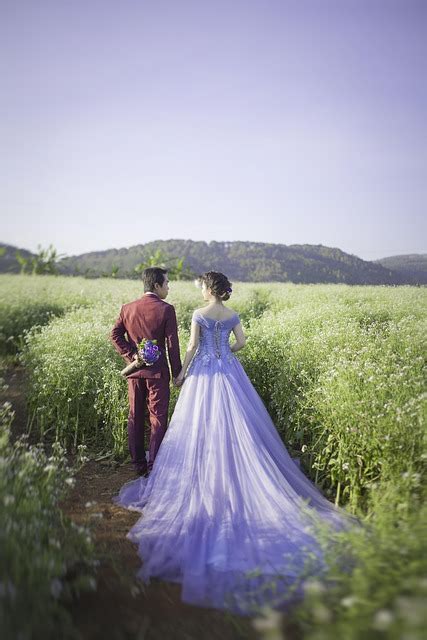 10 000 Free 결혼식 답례품 추천 Wedding Images Pixabay