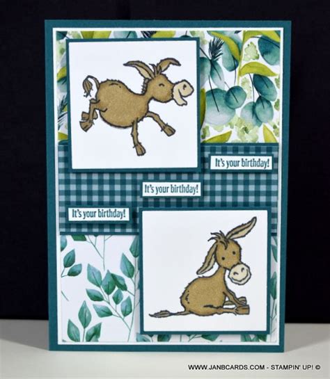 Darling Donkey S Birthday Card