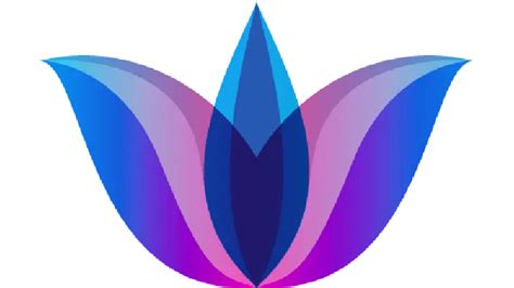 Lotus Asset Management - Personalized Investment Portfolios