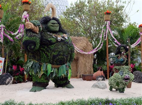 Moana Topiary Steals The Show At Epcot S Flower Garden Festival