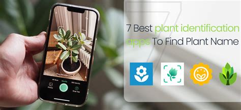 Best Plant Identification App 2025 Mio Vanvisser