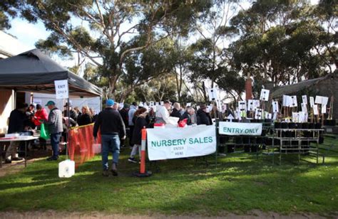 Werribee Park Heritage Orchard Summer Fruit Tree Festival Abc