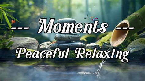 Relaxing Music Relieves Stress Anxiety And Depression Heals The Mind