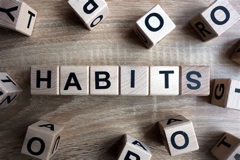 habits  profitable beer wholesalers beer business finance