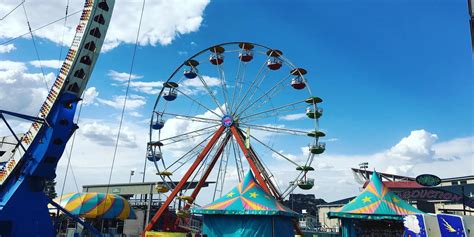 Colorado County Fairs 2025 Amira Hazel