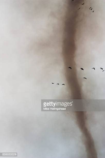 Loess Bluffs National Wildlife Refuge Photos and Premium High Res Pictures - Getty Images