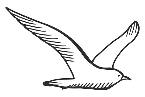 Seagull Sketch Hand Drawn Sea Bird Flyi Graphic By Onyxproj Creative