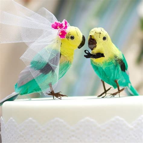 Budgie Cake Topper In Aqua Green And Yellow: Bride And Groom Tropical ...