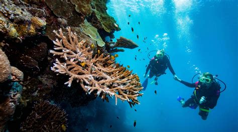 Whitsundays Great Barrier Reef Adventure - Snorkel Trips