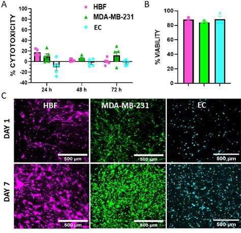 D Bioprinted Breast Tumor Stroma Models For Pre Clinical Drug Testing