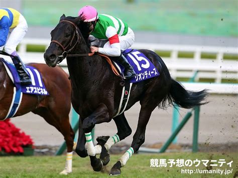 【2歳新馬】函館5r ピンクカメハメハ4馬身差圧勝｜競馬ニュース｜競馬予想のウマニティ