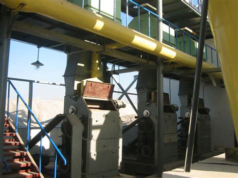 Oilseed Crushing Machine Key Equipment For Oilseeds Pressing And Oil