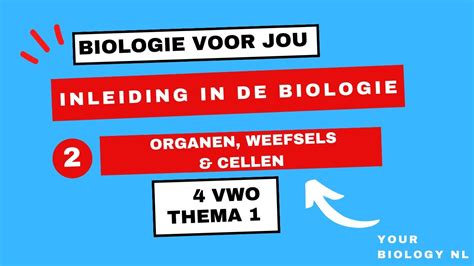 4 Vwo Inleiding In De Biologie 2 Organen Weefsels Cellen YouTube