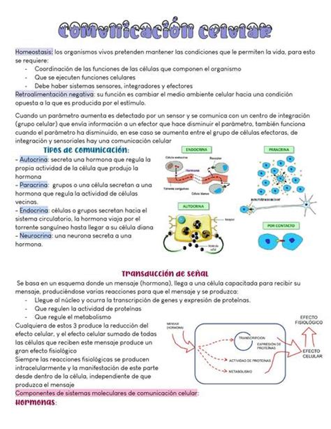 Comunicaci N Celular Astrid Inostroza Udocz