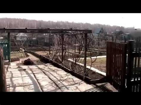 Пергола для винограда - YouTube