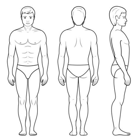 Vector Illustration Of Male Figure Front Back And Side View In Silueta Del Cuerpo Humano