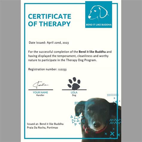 Healertherapy Dog Certificate Graphic Design Freelancer