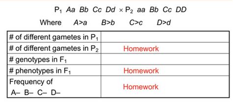 Lecture Pedigree Analysis Sex Chromosomes Sex Determination