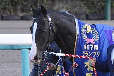 【jra】イクイノックスが引退、有馬記念を見送り種牡馬入り 競馬ヘッドライン