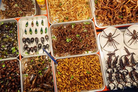 Bangkok Street Food Insects | Hot Sex Picture