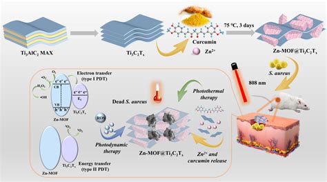 Multimodal Antibacterial Platform Constructed By The Schottky Junction