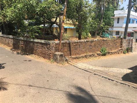 Residential Plot 8 Cent For Sale In Kuriachira Thrissur REI1006907